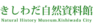きしわだ自然資料館